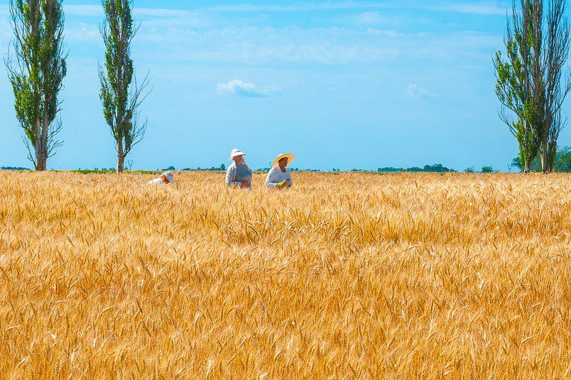 Agroživilski trgovinski trendi EU so bili pozitivni, a pred invazijož