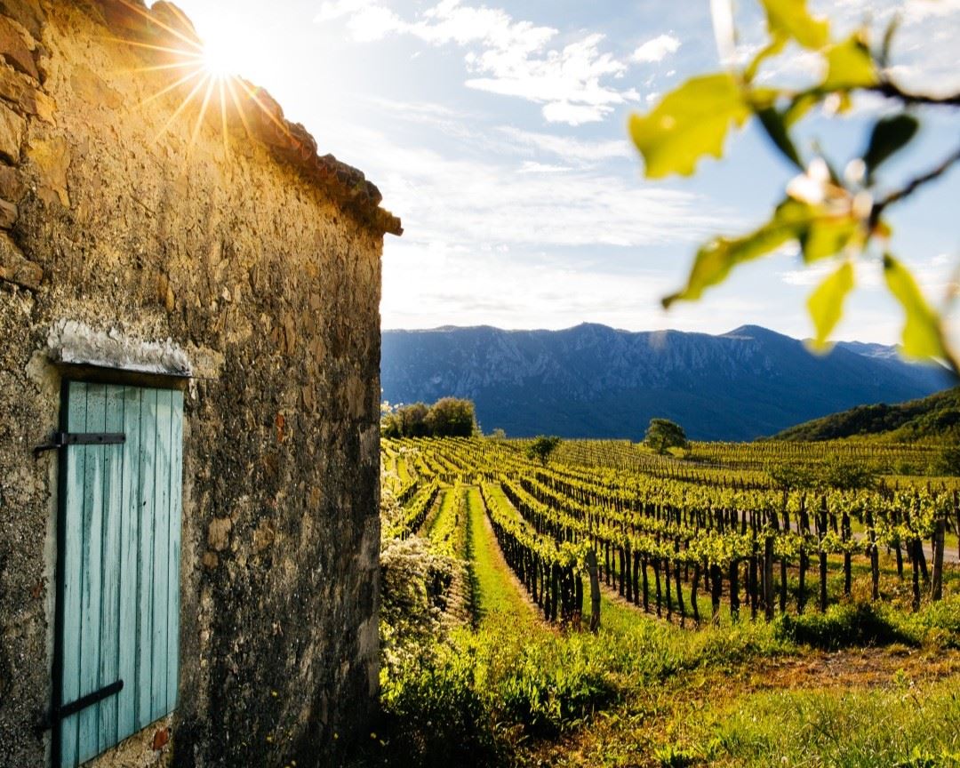Čas je za prvi letošnji vinski festival Park Wine Stars