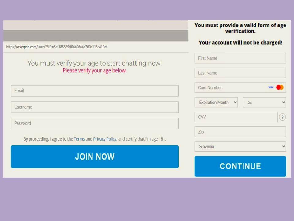Poskus spletne goljufije prek lažnih Instagram profilov