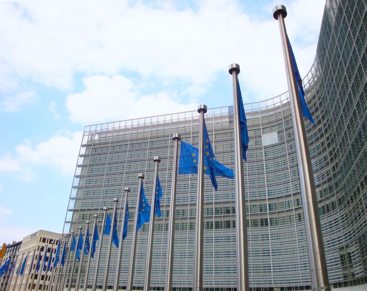 Plačilna disciplina, stanje trga EU in bodoča industrijska politika