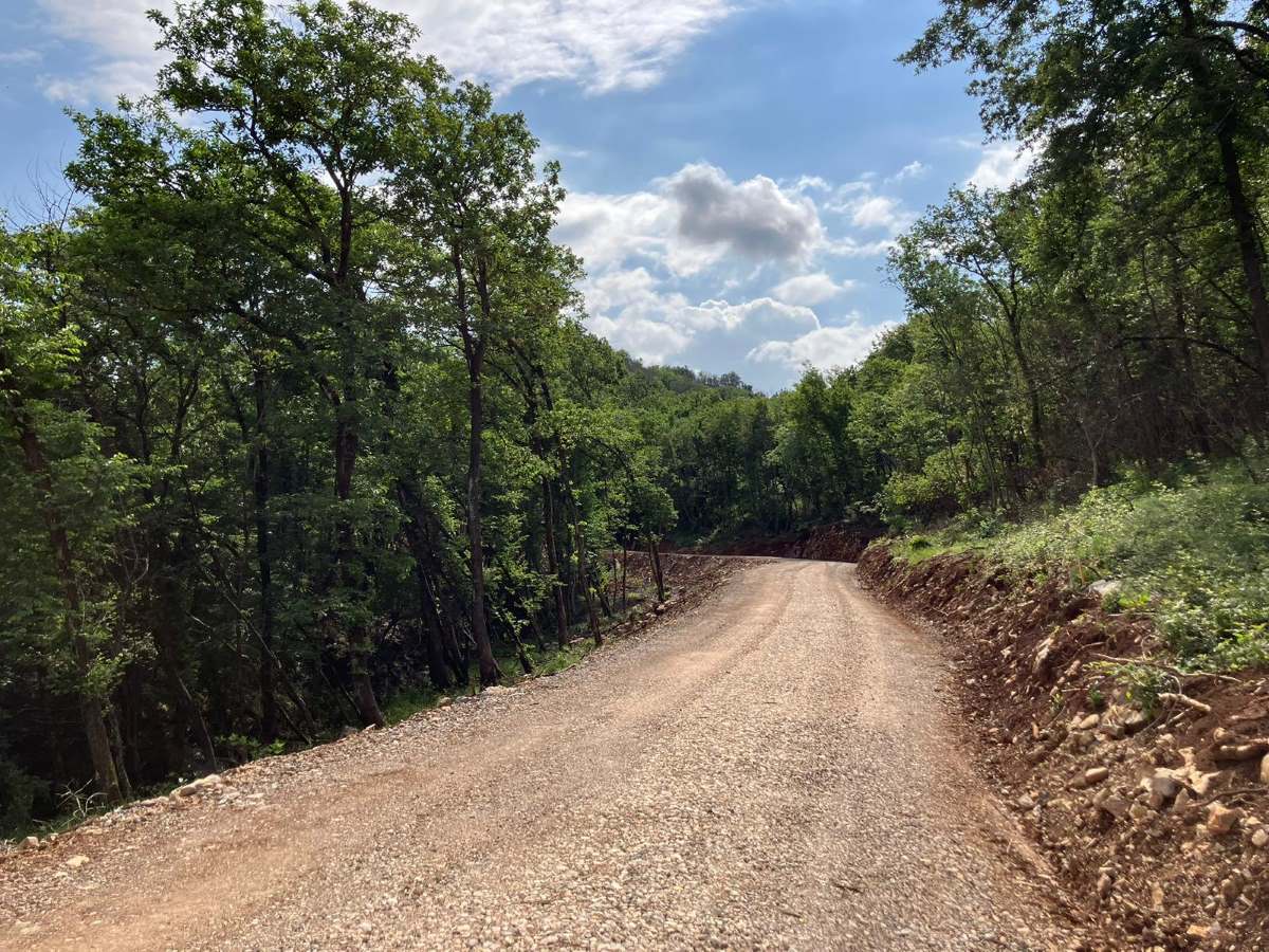 Nove državne subvencije za preprečevanje gozdnih požarov 