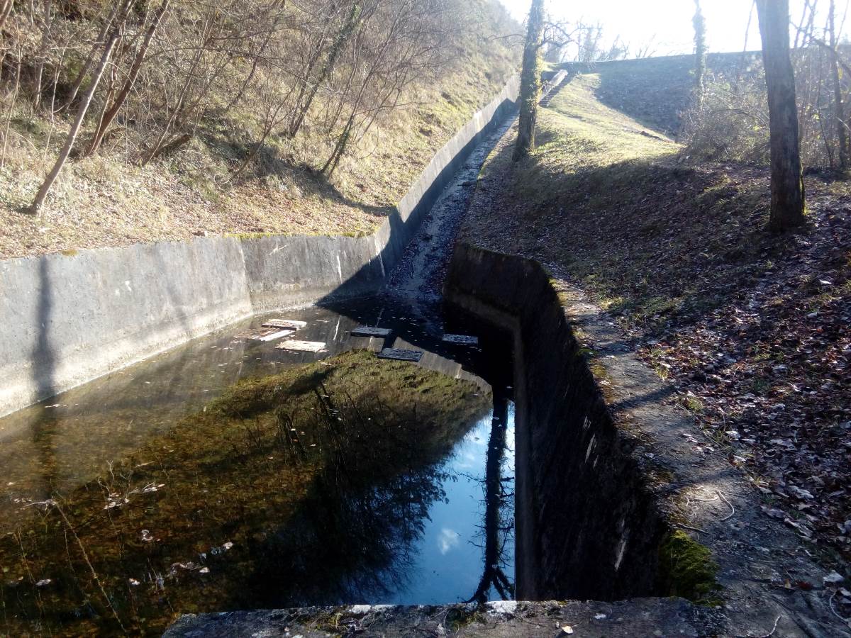 Novosti pri treh trajnostno usmerjenih javnih razpisih