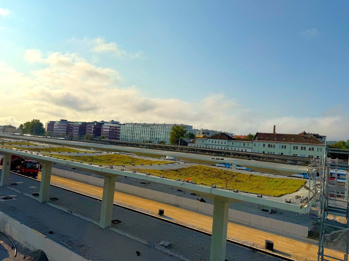 Na strehah peronov glavne železniške postaje že raste trava 