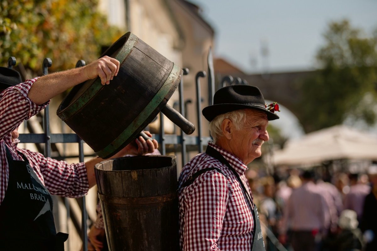 Prihaja mariborski Festival najstarejše trte