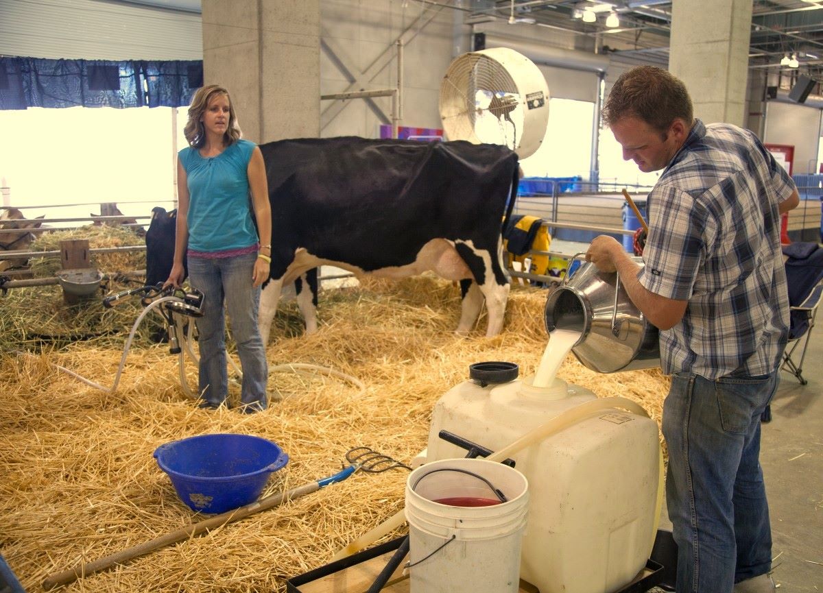 Šesto srečanje ambasadorjev slovenskega gospodarstva