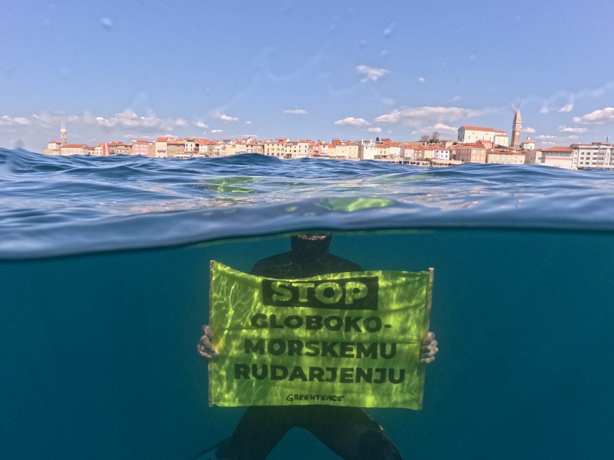 Velik korak za dokončno zaščito življenja v oceanih