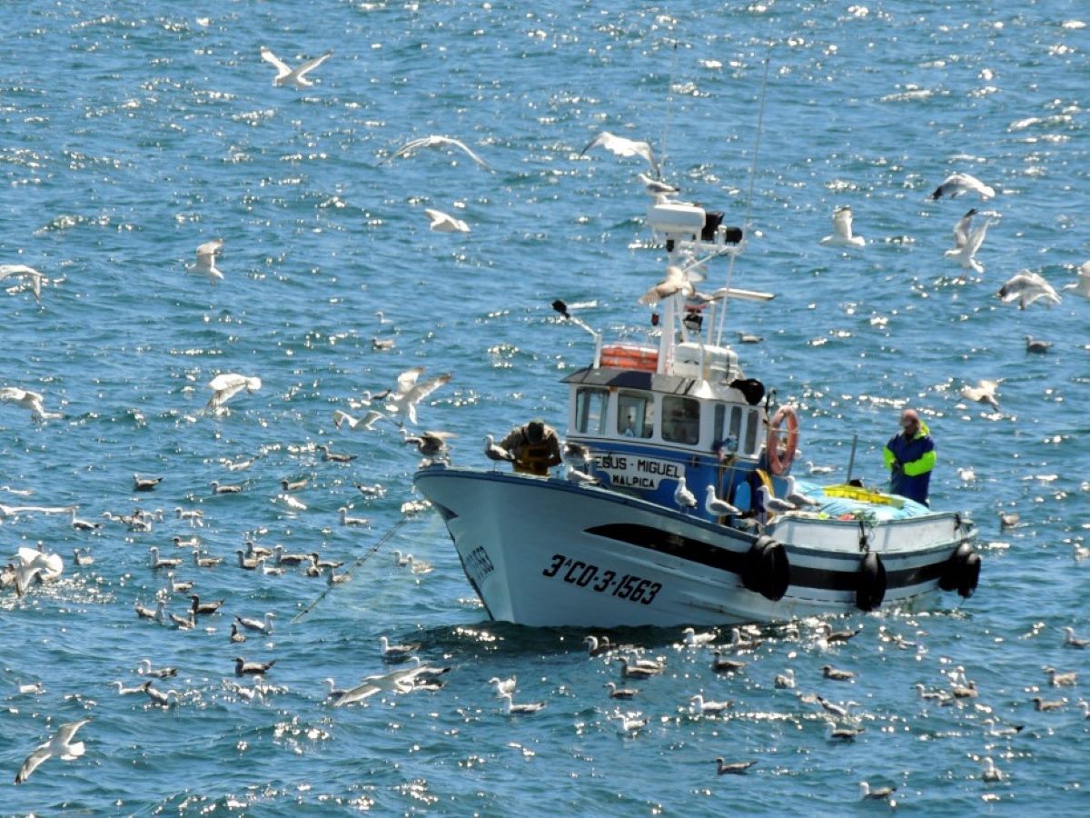 Težave EU glede trajnostnega ribolova v Atlantiku