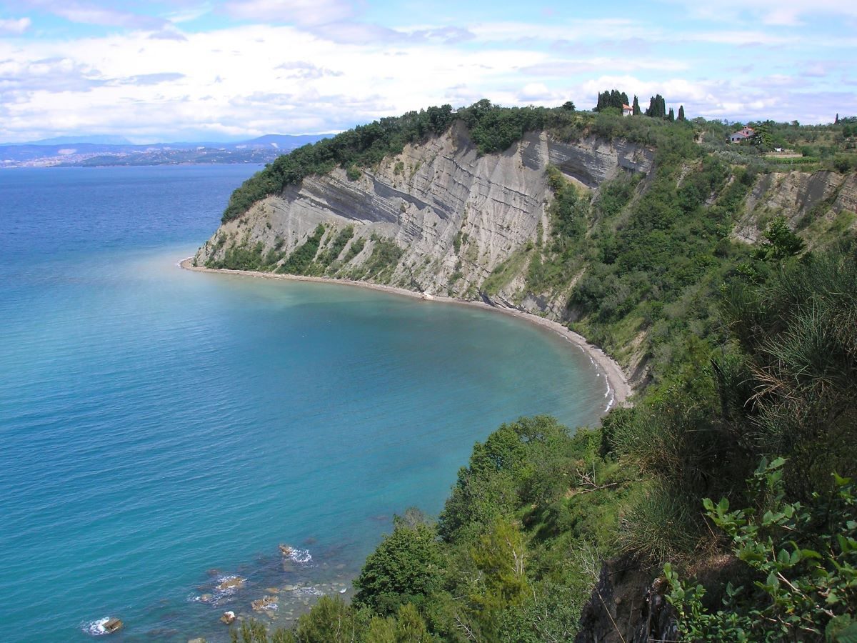 Obnova poti in gojenje artičok v Krajinskem parku Strunjan