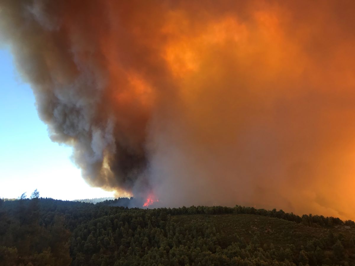 Požarne sezone se daljšajo, požarov je vse več  