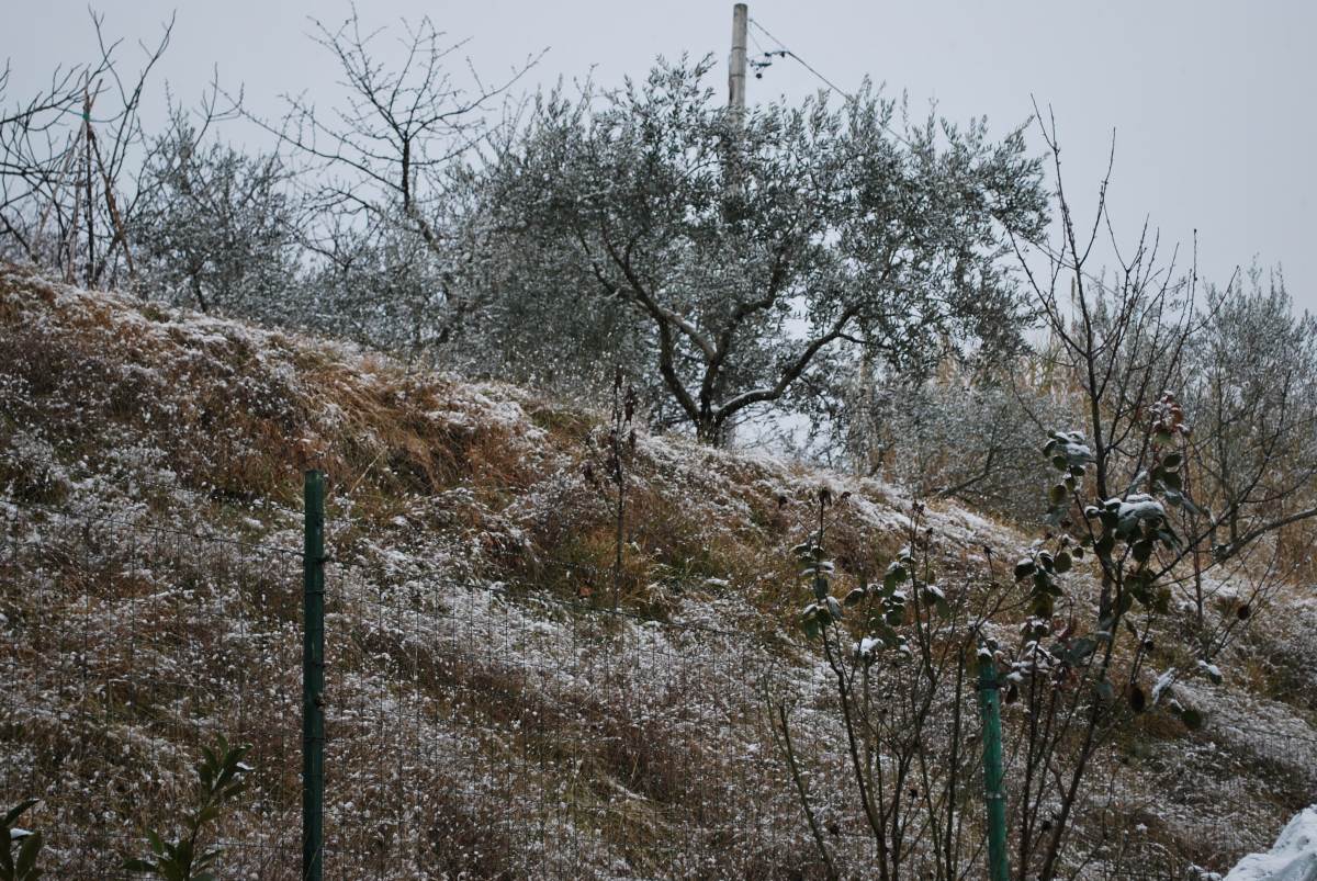 Kako ob poslovilnem udarcu zime preprečiti škodo v kmetijstvu 