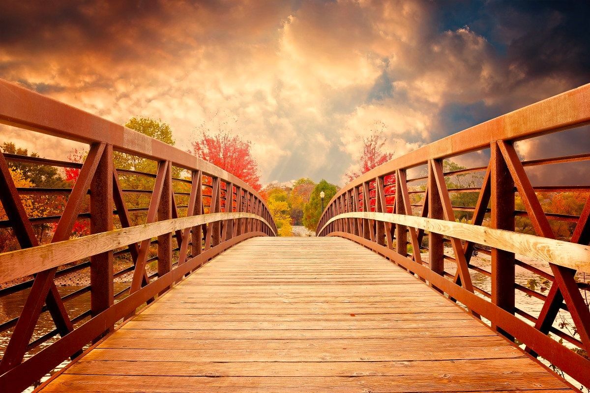 Letošnje subvencije za promocijo uporabe slovenskega lesa