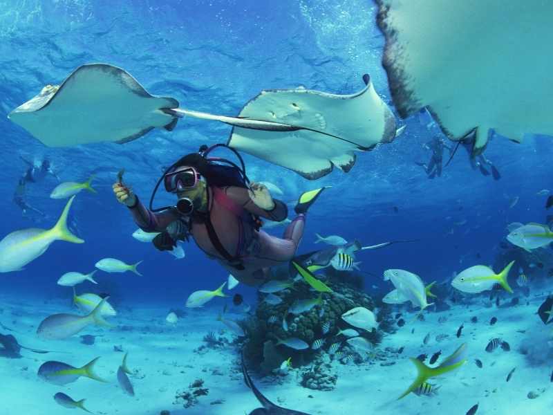 koralni greben maldivi hadahaa