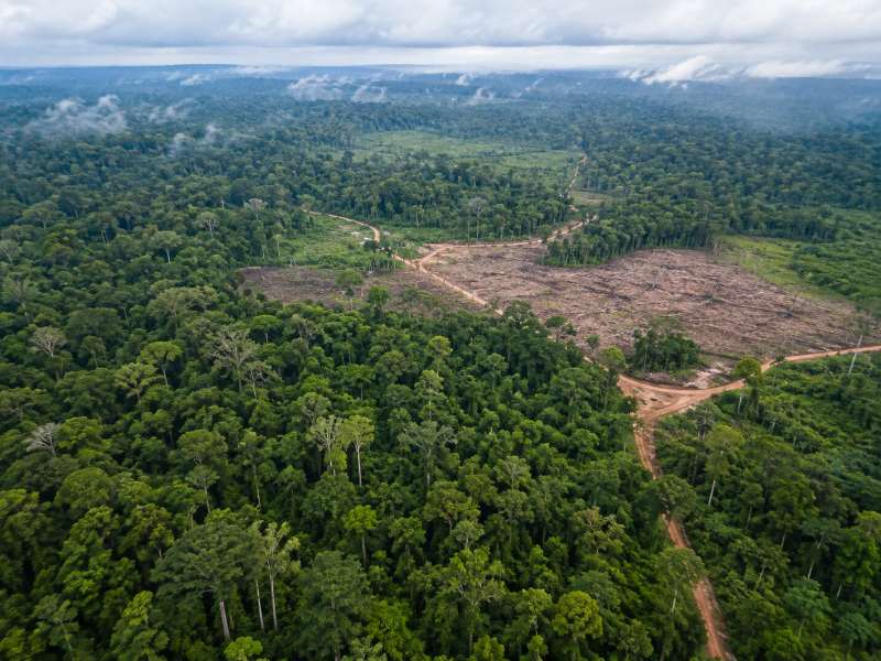 krcenje amazonije pragozd brazilija