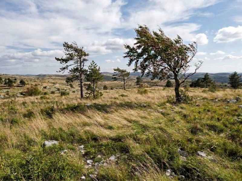 vreme danes kras burja 22 september 2026