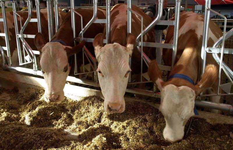 Komisija EU predlaga več naravnega digestata in manj umetnih kemičnih gnojil