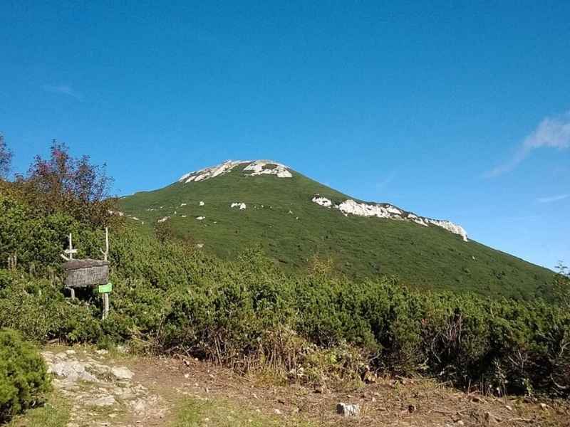 Pogled proti Velikemu Snežniku