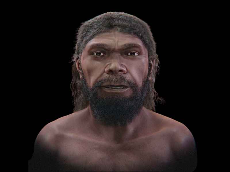 Digitalna rekonstrukcija obraza zgodnjega Homo sapiensa iz Jebel Irhouda