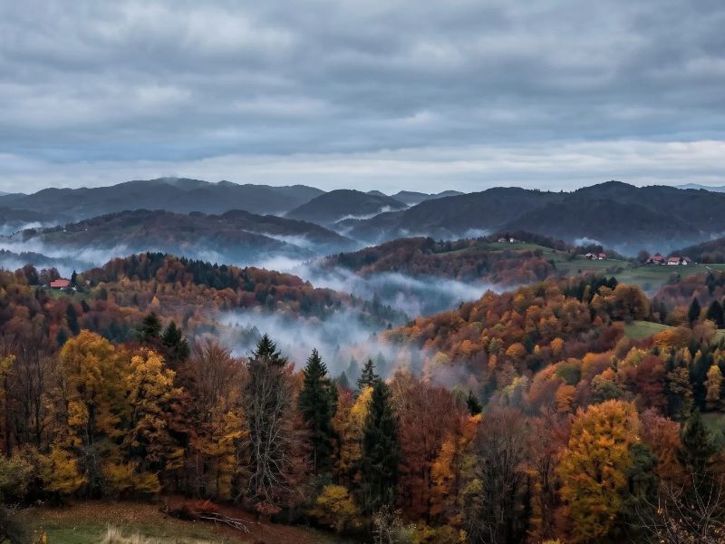 Vreme 29. oktobra: Četrtek še večinoma suh – bo za 1. november drugače? 1 vreme 29 oktober 2026 posavsko hribovje jesen meglica