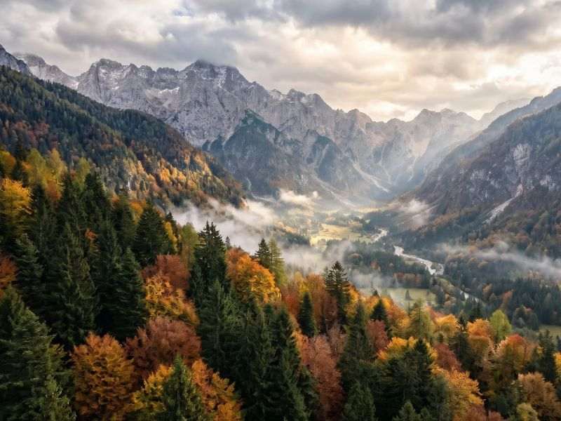 Jesenska alpska dolina z zelenimi iglavci, zlato obarvanimi listavci in meglico pod oblačnim nebom