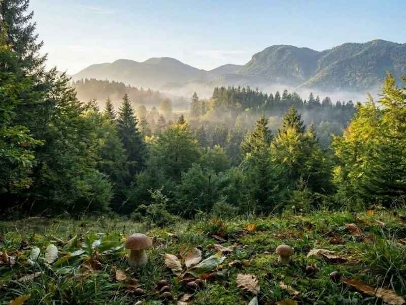 vreme vikend oktober kostanj