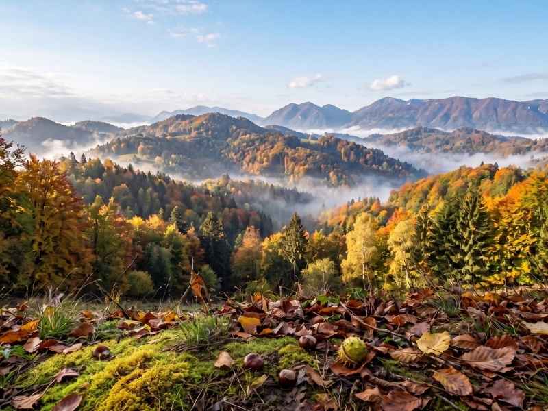 vremenska napoved ponedeljek megla sonce slovenija